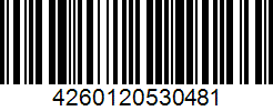 Barcode 4260120530481