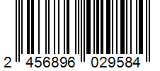 Barcode 2456896029584