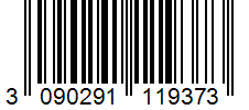 Barcode 3090291119373