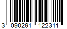 Barcode 3090291122311