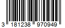 Barcode 3181238970949